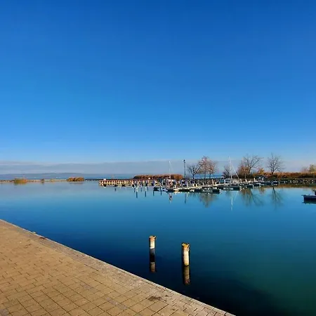 Kikoeto Setany Iii. * Balatonszárszó